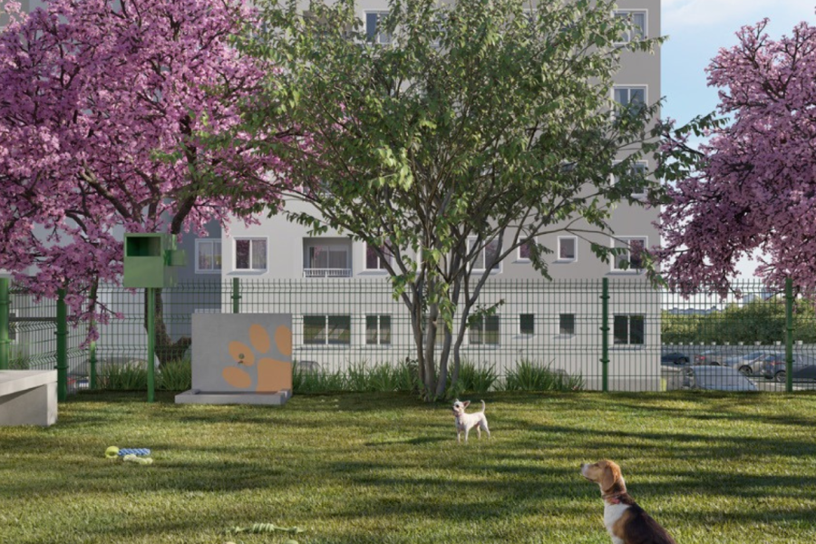 PET PLACE